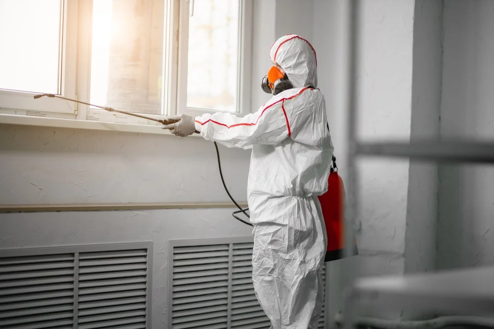 Professional mold remediation services in Pickett, WI